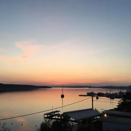 Meduza Barbat na Rabu