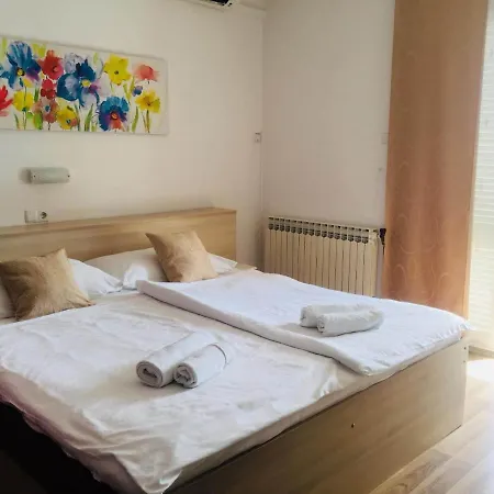 Meduza Barbat na Rabu