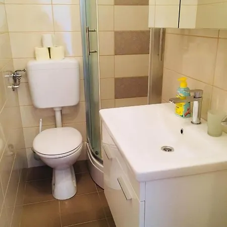 Meduza Barbat na Rabu