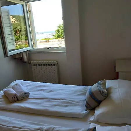 Meduza Barbat na Rabu