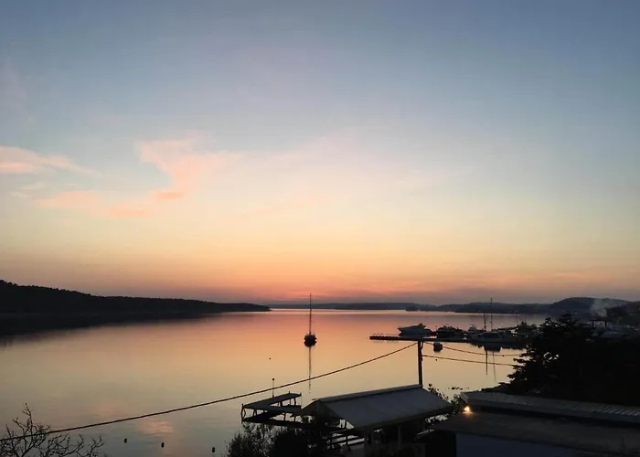 Meduza Barbat na Rabu
