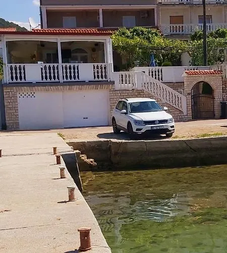 Meduza Barbat na Rabu